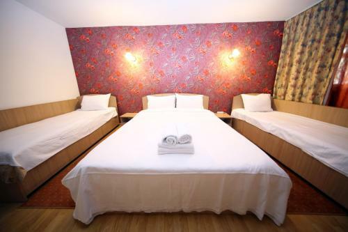 Hostal Pensiunea Lokanta