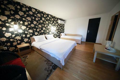 Hostal Pensiunea Lokanta