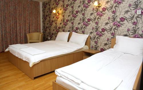 Hostal Pensiunea Lokanta