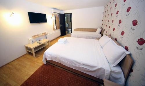 Hostal Pensiunea Lokanta