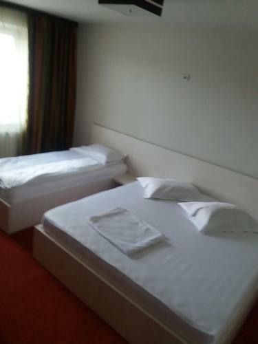 Hostal Casa Budisteanu