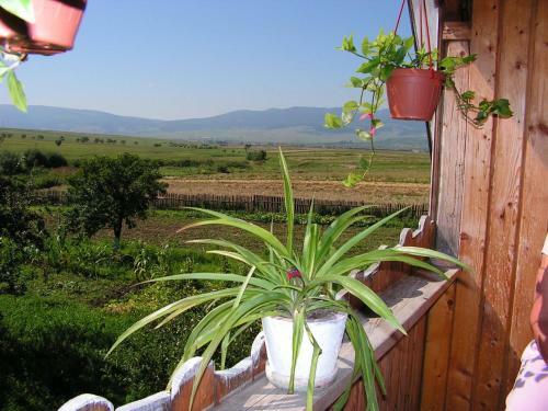 Apartamento Onodilak Vend�gh�z