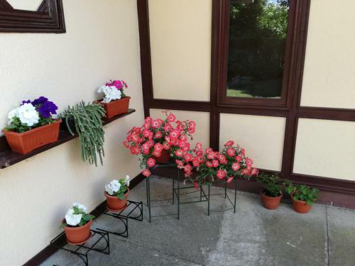 Apartamentos Stara Breza 1 Rooms