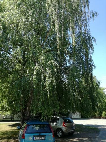 Apartamentos Stara Breza 1 Rooms