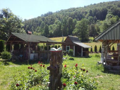 Lodge Staparski Sorrento