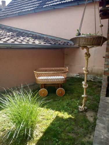 Lodge Prenociste Tera Nova