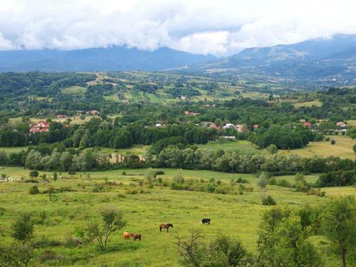 Hostal Pensiunea La Maria