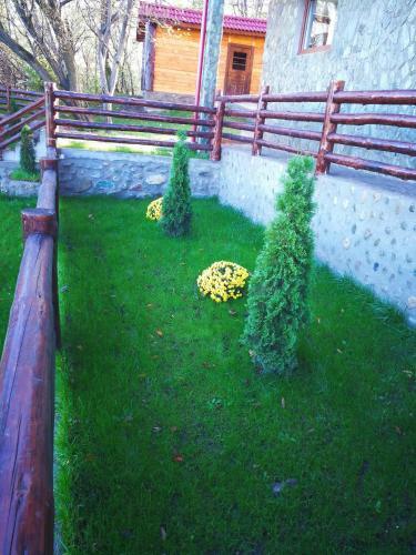 Hostal Pensiunea La Maria