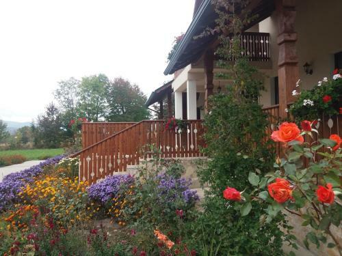 Hostal Pensiunea Obcina Mare