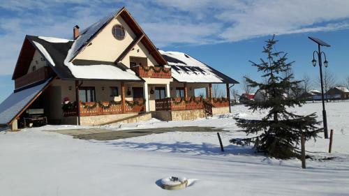 Hostal Pensiunea Obcina Mare