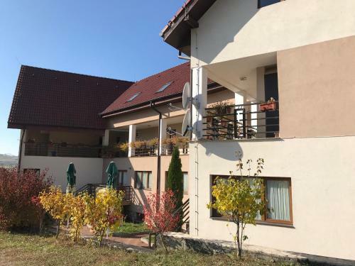 Hostal Pension Laura Cheile Turzii
