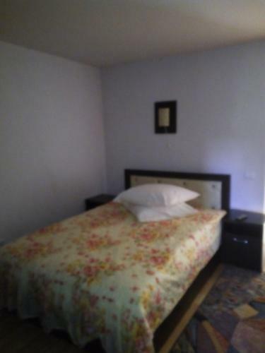 Hostal Pensiunea Alexana