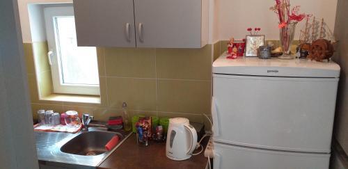 Studio Apartman Centar Sre?a