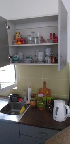Studio Apartman Centar Sre?a