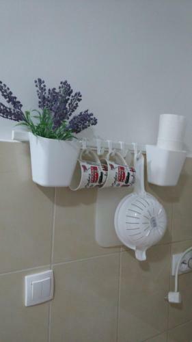 Hostal Studio Sympatico