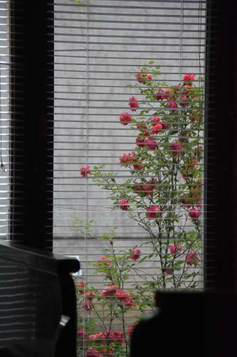 Hostal Guest House Breza