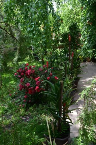 Hostal Guest House Breza