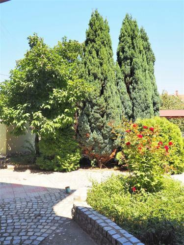 Apartamento Guest House Stefanovic