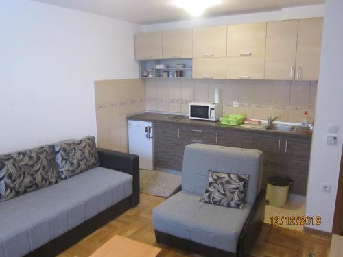 Apartman Vojin