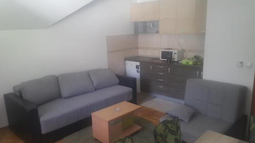 Apartman Vojin