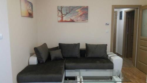 Apartman Vojin
