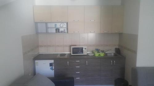 Apartman Vojin