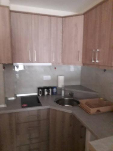 Apartman Vojin