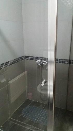 Apartman Vojin