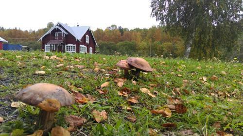 Holiday Home Elk
