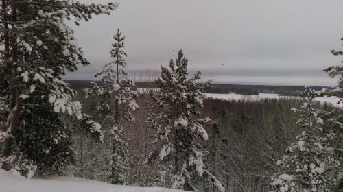 Holiday Home Elk
