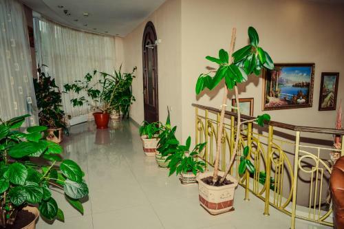 Hotel Atlantida