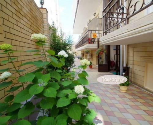 Hostal Guest House Palladium