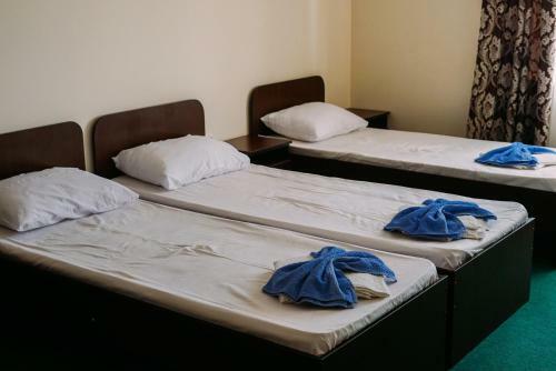 Hostal Guest House Palladium
