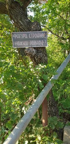 Hostal Paradise