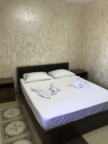 Hostal Guest House Parus