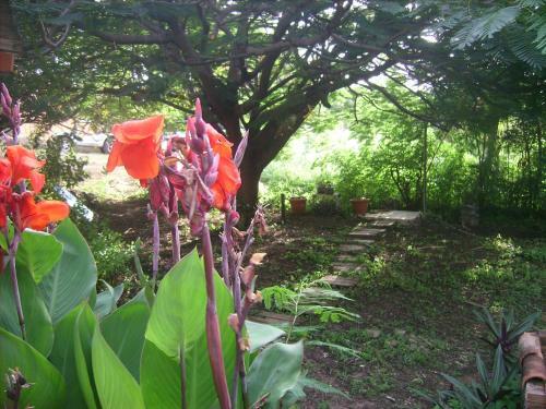 Hostal Pousada Canto Do Boldr�