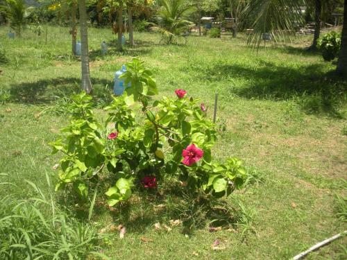 Hostal Pousada Canto Do Boldr�