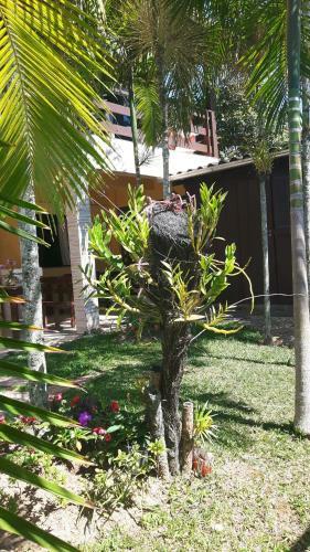 Hostal Pousada Estrela Da Manh�