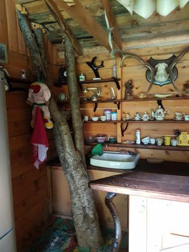 Hostal Usadba Kedrovaya Dacha