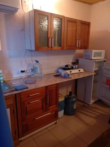 Hostal Guest House V Vodnikie