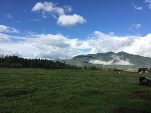 Hostal Guest House Altai Yard ???????? ??? ????????? ??????