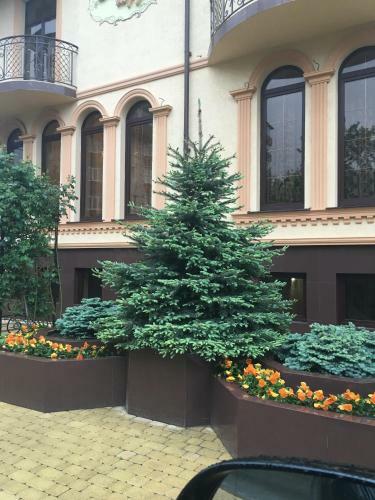 Hotel Alye Parusa