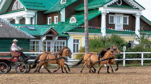 Bogdarnya Hotel By Sea Company