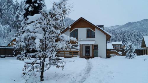 Serebryanniy Ruchey Cottage