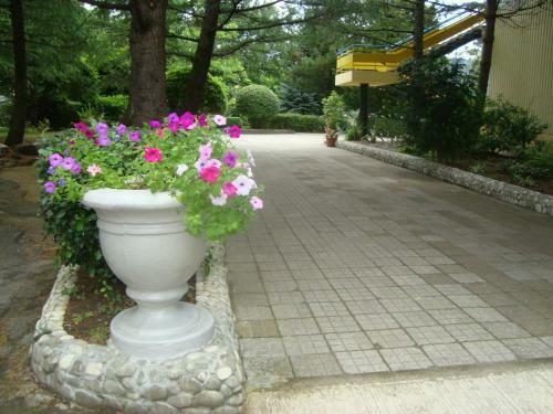 Hotel Pansionat Mayak
