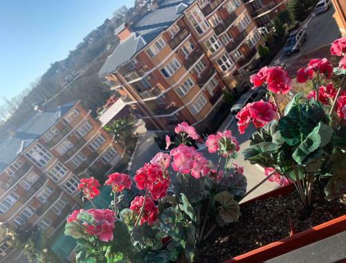 Hotel-pansionat Lesnoe
