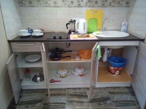 Studio Apartment On Vinogradnaya