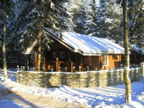 Green Forest Club