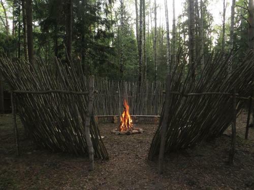 Green Forest Club