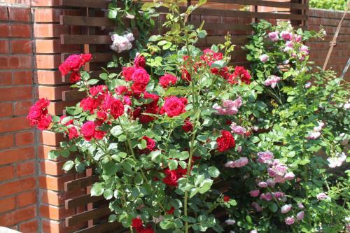 Hostal Guest House Zolotaya Gavan